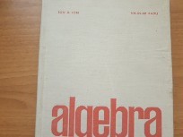 Algebra - Ion D. Ion foto