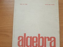 Algebră - Ion D. Ion