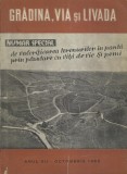 AS - GRADINA, VIA SI LIVADA ANUL XII, OCTOMBRIE 1963