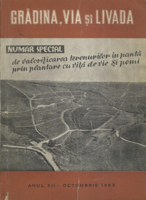 AS - GRADINA, VIA SI LIVADA ANUL XII, OCTOMBRIE 1963 foto