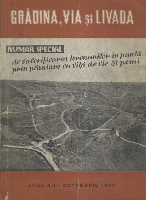 AS - GRADINA, VIA SI LIVADA ANUL XII, OCTOMBRIE 1963