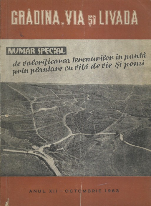 AS - GRADINA, VIA SI LIVADA ANUL XII, OCTOMBRIE 1963