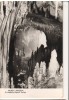 CPIB 15951 CARTE POSTALA - MUNTII APUSENI. LA PESTERA POJARUL POLITEI, RPR, Necirculata, Fotografie