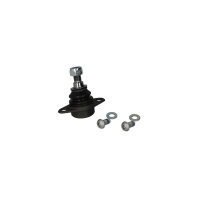 Pivot BMW X3 E83 FORTUNE LINE FZ3290 foto