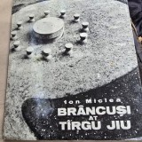 Brancusi at Tirgu Jiu - Ion Miclea editie in limba engleza