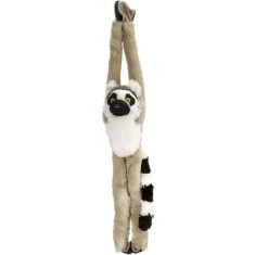Maimuta care se agata Lemur