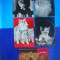 HOPCT LOT NR 1049 PISICI --5 CARTI POSTALE-CIRCULATE