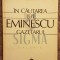 IN CAUTAREA LUI MIHAI EMINESCU-GAZETARUL