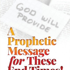 A Prophetic Message for These End Times!: Making It Plain: God Will Provide