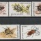Romania 1996 - #1404 Insecte (I) 5v MNH