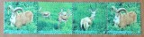 Cumpara ieftin TURKMANISTAN-&#039;&#039;FAUNA-CAPRE&#039;&#039; SERIE-STRAIF DE 4V.--MNH LUX -NESTAMPIL.-VEZI SCAN