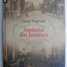 Amintiri din Junimea - Iacob Negruzzi (cateva sublinieri)