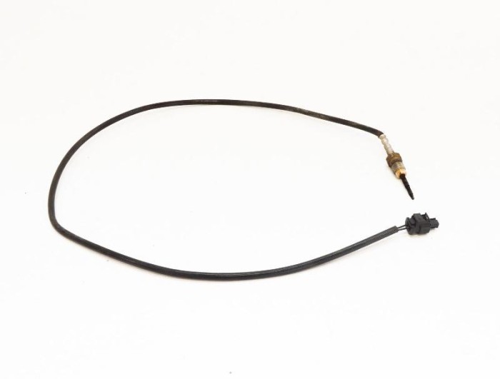 Senzor de temperatură BMW X5 F15, F85 2013 OEM: 8514308 4004811