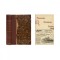 A. G. Hudic, Programe cu subiecte 1906-1910