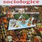 Istoria ideilor sociologice (volumul 2) - 1998 - Michel Lallement (V109)
