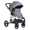 Carucior pentru copii 2 in 1 cu suspensii Gala Dark Grey