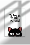 Unframed Cat Quote Canvas Poster in Romanian - Digital Print - Te Rog Sa Te Speli Pe Maini | A4 (21 x 29.7 cm)
