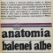 Anatomia balenei albe - 1982 - Marcel Pop-Cornis (J161)