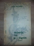 Mierle in poligon- Paul Balahur