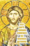 Cele Sapte Sinoade Ecumenice ale Bisericii Ortodoxe - Florin DUTU, 2022