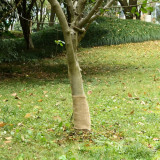vidaXL Rolă de iută, 0,25x5 m, iută 100%, 200 g/m&sup2; 155789
