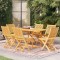 vidaXL Set mobilier de grădină, 7 piese, lemn masiv de tec 3059563