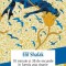 10 minute si 38 de secunde in lumea asta stranie &ndash; Elif Shafak