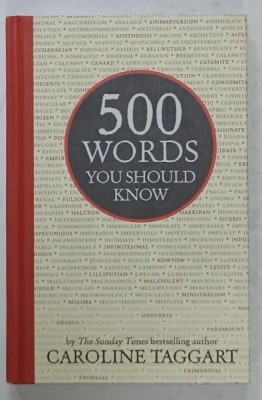 500 WORDS YOU SHOULD KNOW by CAROLINE TAGGART , 2014 foto