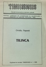 Ovidiu Papana - Tilinca (instrument muzical, etnomuzicologie, folclor) foto