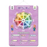 Poster educativ, Emotiile mele