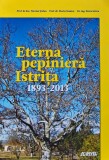 Cartea Eterna Pepiniera Istrita autori Nicolae Stefan, Florin Stanica, Petru Grivu Editura Invel Multimedia 2013 brosata 60 pagini