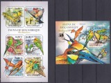 DB1 Fauna Africana Mozambic Pasari MS + SS MNH, Nestampilat