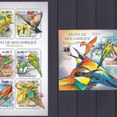 DB1 Fauna Africana Mozambic Pasari MS + SS MNH