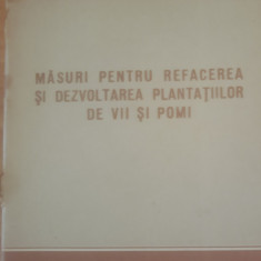 1955 Măsuri pentru refacerea și dezvoltarea plantațiilor de vii și pomi