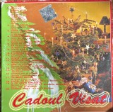 CANTECE DE CRACIUN,,CADOUL VISAT&quot;COMPILATIE / CAT Music 2001/Ro-Mania,K1,DUDU BERTZI,SANDA LADOSI,ETNO,HORA,LUCRETIA CIOBANU,NICOLAE FURDUI IANCU/