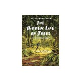 The Hidden Life of Trees: A Graphic Adaptation: (Of the International Bestseller)