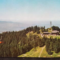 CPIB 17635 CARTE POSTALA - POIANA BRASOV. CABANA CRISTIANUL MARE