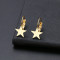 Cercei din inox Auriu cu Tortita STAR N1562
