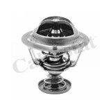 Calorstat by Vernet termostat, lichid racire