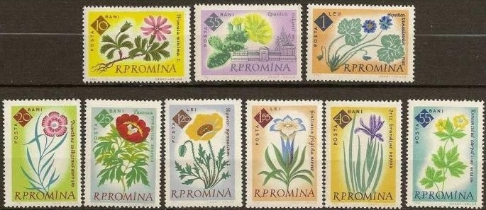 1961 - gradina botanica, flori, flora, serie dantelata neuzata