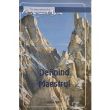 Definind maestrul (Editia: 2011)