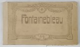 FONTAINEBLEAU , MINIALBUM CU 17 CARTI POSTALE CU IMAGINI DE EPOCA , INCEPUT DE SECOL XX