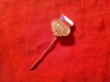 Insigna Sport- Fotbal Cehoslovacia CSTV , metal si email , h=1,7cm