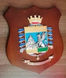 C15 18 - Placheta - tematica militara - armata Italiei, Europa