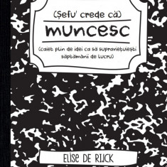 Sefu´ crede ca muncesc (caiet plin de idei ca sa supravietuiesti saptamanii de lucru)