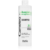 Delia Cosmetics Cameleo Volume &amp; Strengthening sampon pentru volum pentru par fin 400 ml