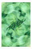 Tablou Canvas cu design floral abstract verde, 26 x 39 cm, CMCLASS