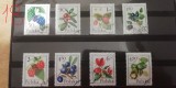 A12 S3 1 - Timbre foarte vechi - Polonia - fructe de padure, Flora, Stampilat