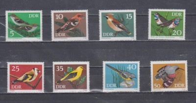 A12 S4 1 - Timbre foarte vechi - Fosta Germanie Democrata - DDR - pasari foto
