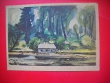 HOPCT 23748 BAIA 1960- V PIRK 1960 --RUSIA--MUZEE - CP PICTURA --NECIRCULATA